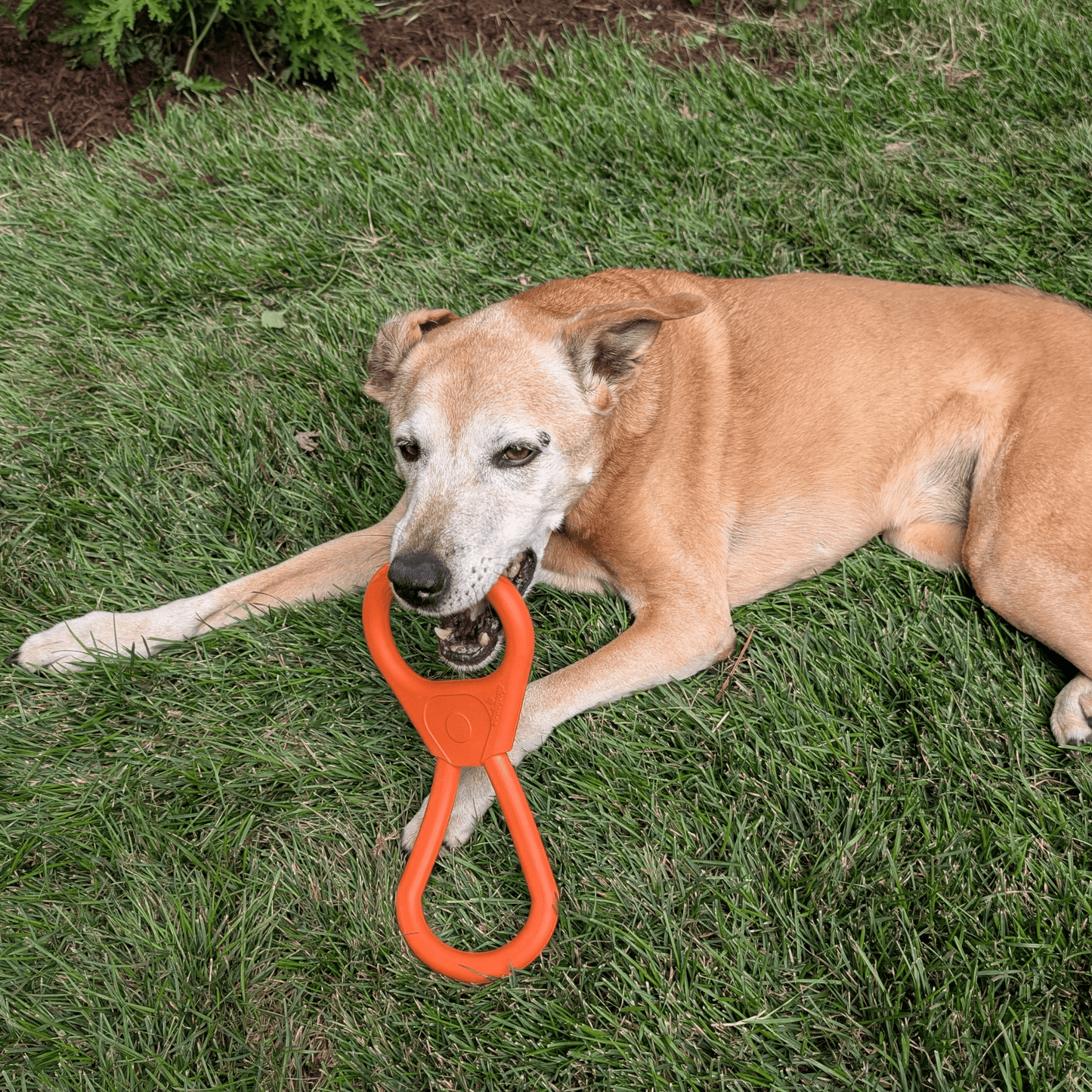 Tug Toys